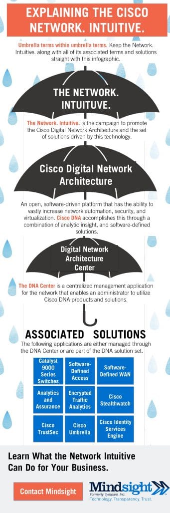Network Intuitive Infographic